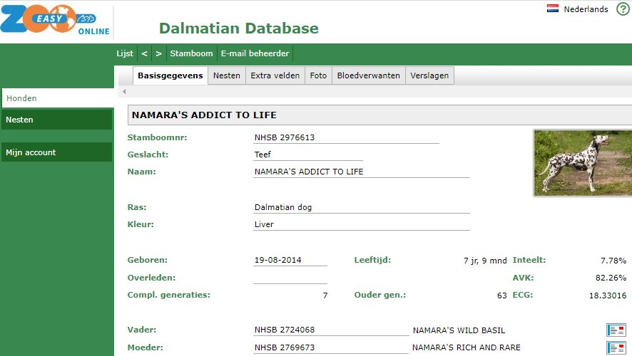 zoo easy dalmatian database