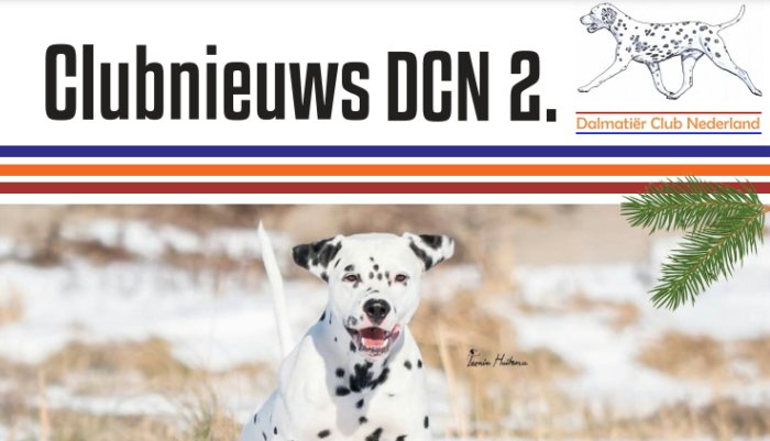 Dalmatiër Club Nederland I Clubnieuws DCN 2