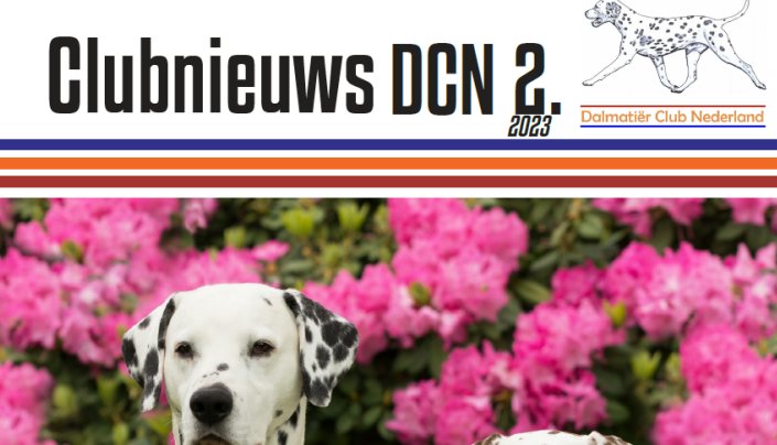 Dalmatiër Club Nederland I Clubnieuws DCN februari 2023