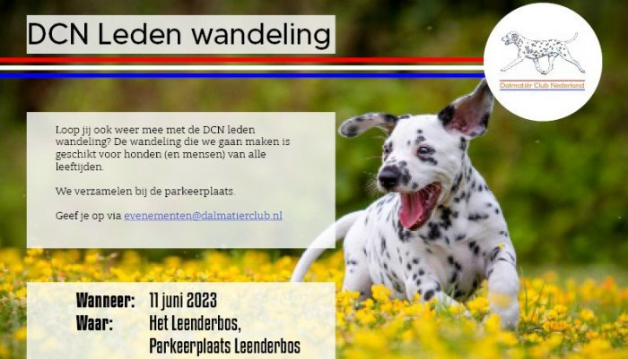 Dalmatiër Club Nederland I Ledenwandeling Eindhoven