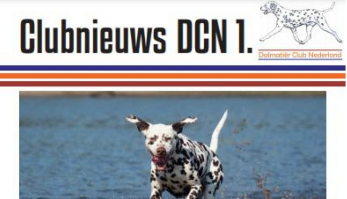 Nieuwsbrief Dalmatiër Club Nederland